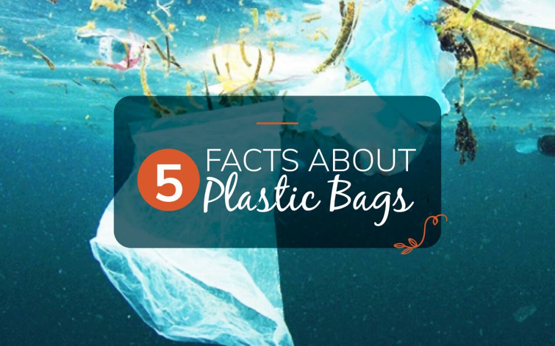 5 Facts About Plastic Bags