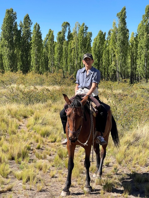 image001 (1) (2) Aliece-Dorsch-Ecology-packaging